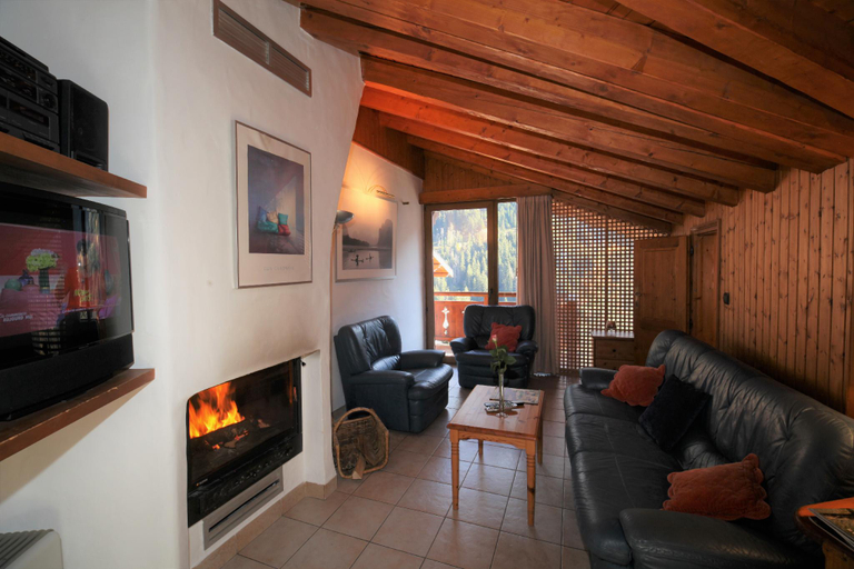 Others 4, Chalet Bouquetin- Blaireau 14 to 18 people, Savoie