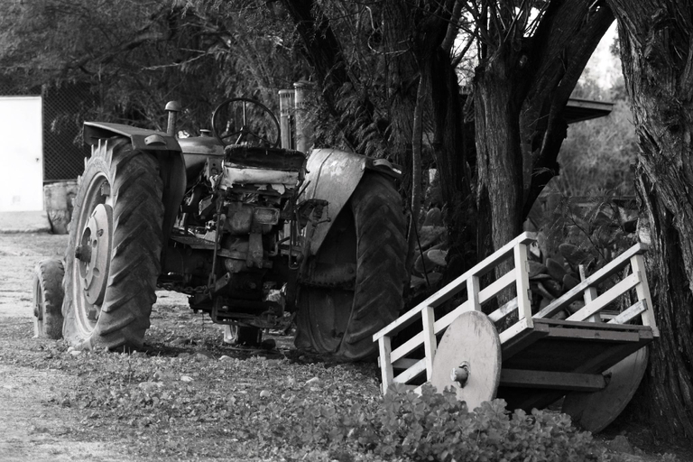 Others 3, Hacienda Santa Cristina, Limarí