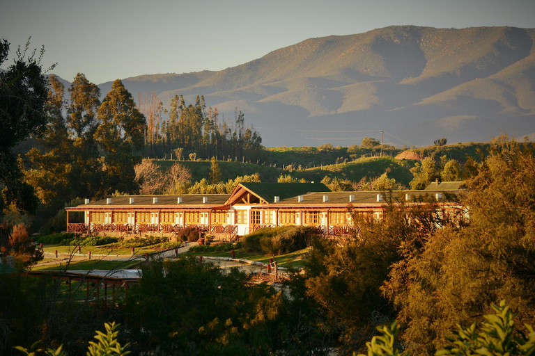 Others 2, Hacienda Santa Cristina, Limarí