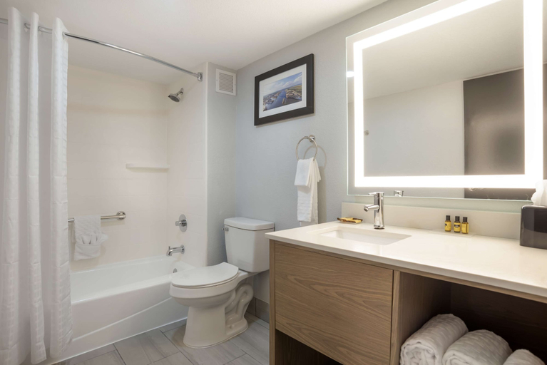 Bathroom 5, Best Western Plus Mobile Inn & Suites, Mobile