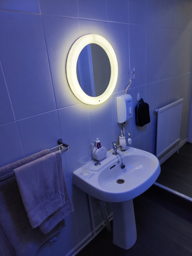 Bathroom 4, The Oddfellows Arms, Salford