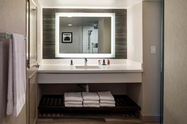 Bathroom 5, Boston Marriott Newton, Middlesex