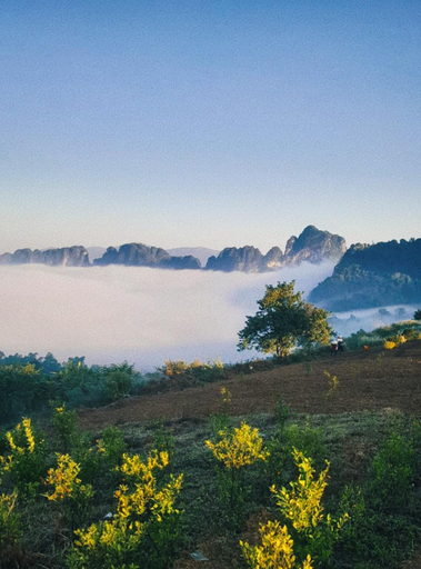 Others 5, La Montana De Luong Son, Lương Sơn