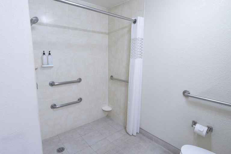 Bathroom 3, Holiday Inn Express GUADALAJARA AEROPUERTO by IHG, El Salto