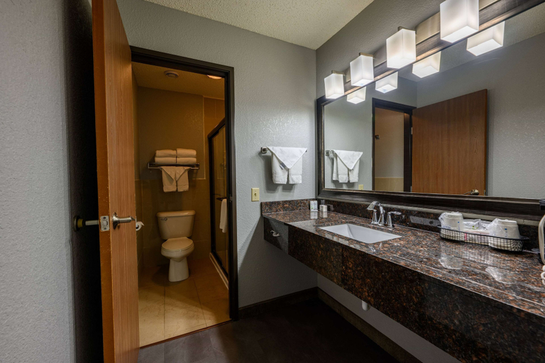 Bathroom 4, AmericInn by Wyndham Monroe, Green