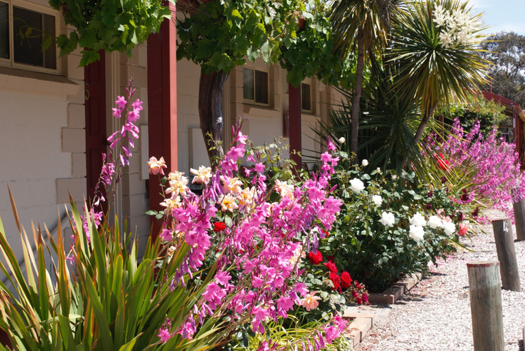 Exterior & Views 2, Inglewood Motel and Caravan Park, Loddon - South