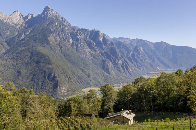 Others 5, Agriturismo HUNUM, Sondrio