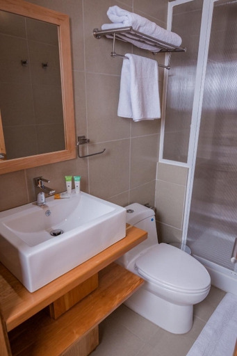 Bathroom 2, Huellas y Senderos Hotel, Coihaique