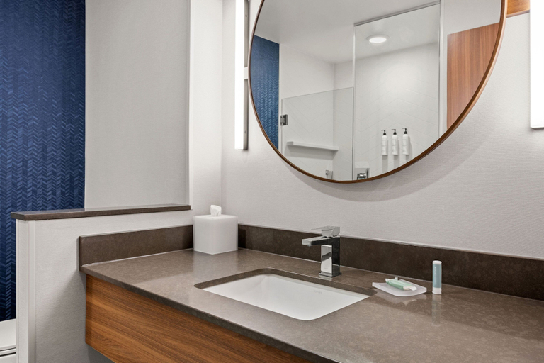 Bathroom 4, Fairfield Inn & Suites by Marriott Baraboo, Sauk