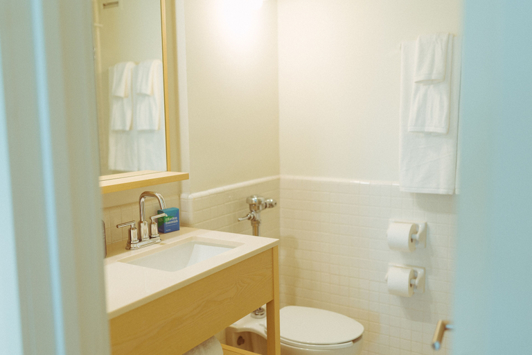 Bathroom 4, Hotel Lucine, Galveston