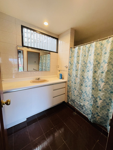 Bathroom, The Rainier Bed & breakfast, San José