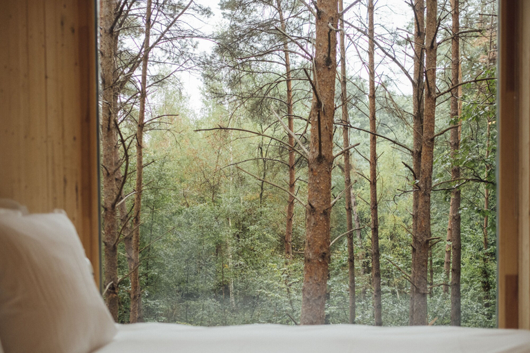 Bedroom 3, Youza Ecolodge - Cabane dans les arbres, Eure