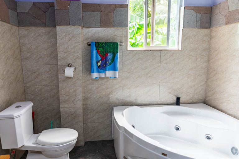 Bathroom 4, Topaz Apartment Villa - Mountain View