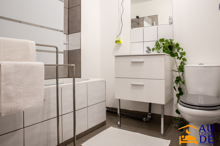 Bathroom 4, Au Coeur de Perpignan, Pyrénées-Orientales
