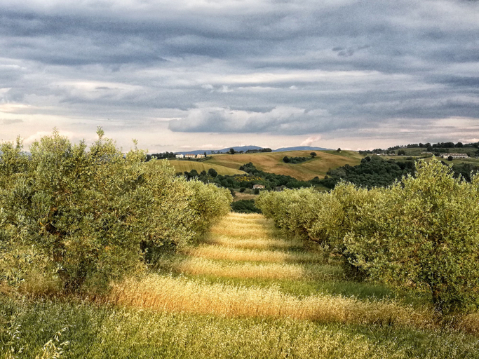 Others 4, Agriturismo Casa Greppo - Il Noce, Terni