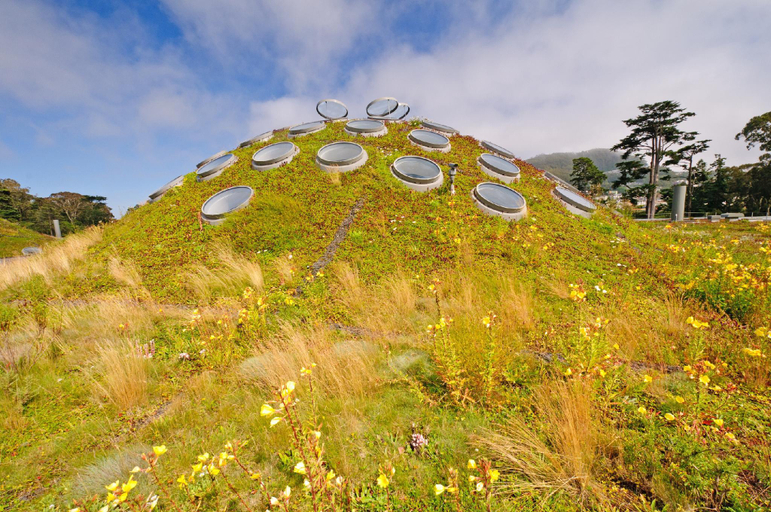 Nearby Landmark 4, Golden Gate Park Suite, San Francisco