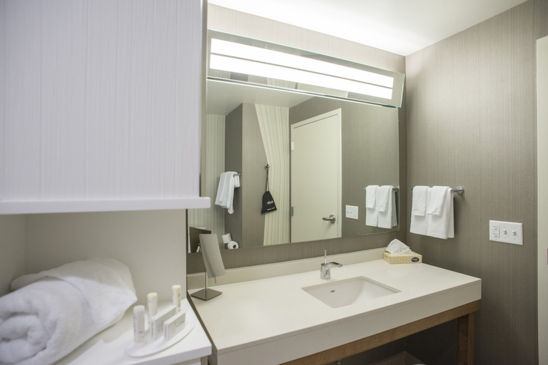 Bathroom 4, Courtyard by Marriott Albany Clifton Park, Saratoga
