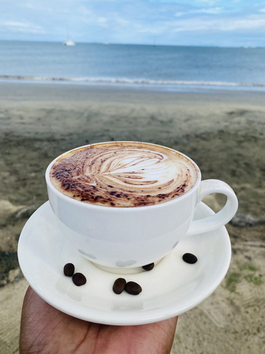 Food & Drinks 5, Sailors Beach Fiji, Ba