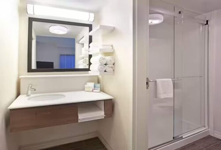 Bathroom 4, Hampton Inn & Suites Nashville-Smyrna, Rutherford