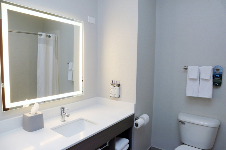Bathroom 4, Holiday Inn Express & Suites BATON ROUGE NORTH by IHG, East Baton Rouge