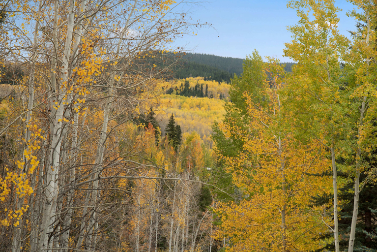 Others 2, Two Creeks by Snowmass Vacations, Pitkin