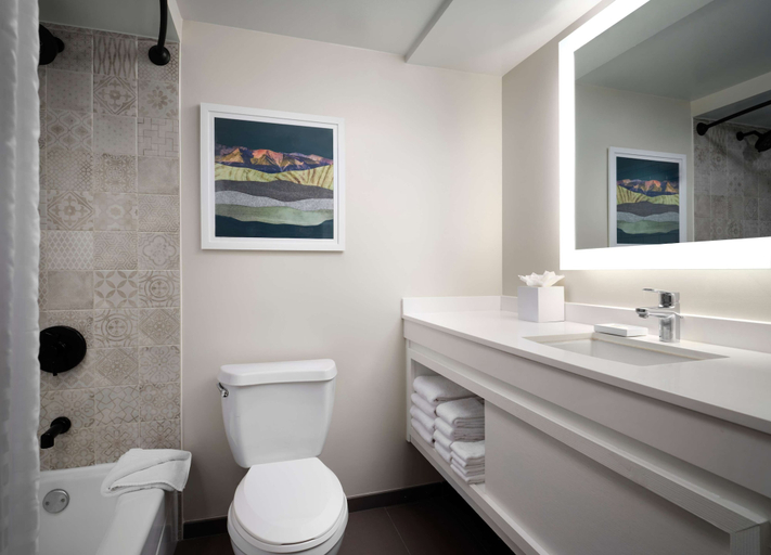 Bathroom 5, Sonesta Irvine John Wayne Airport, Orange