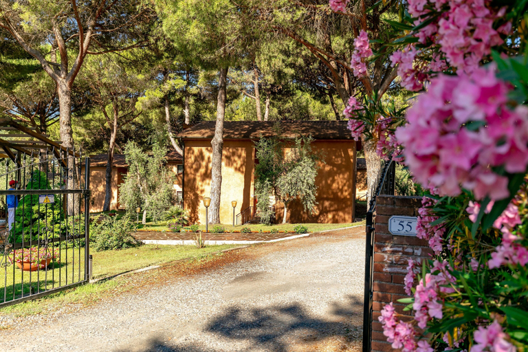 Exterior 5, Residence with pool in Guardistallo, Pisa