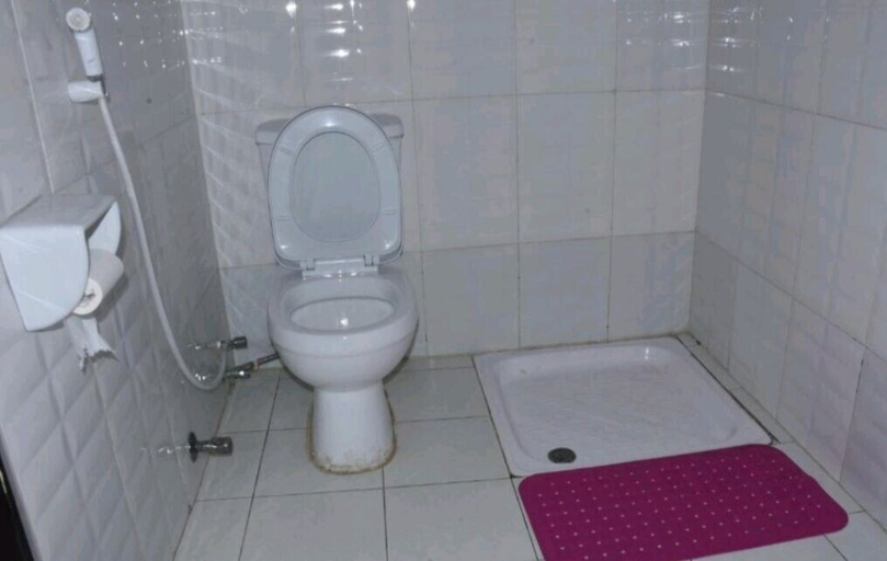 Bathroom, Birhanu Home stay, Semen Wello