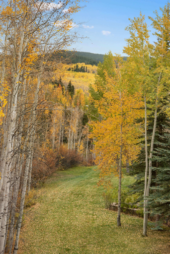 Others 3, Two Creeks by Snowmass Vacations, Pitkin