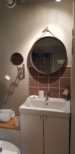 Bathroom 5, Péniche Amboise Maison d'hôtes Toulouse, Haute-Garonne