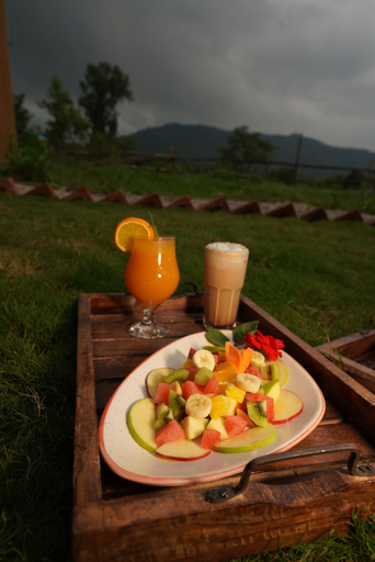Food & Drinks 5, The Solace Bir, Mandi