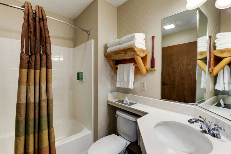 Bathroom 4, Stoney Creek Hotel Quad Cities - Moline, Rock Island
