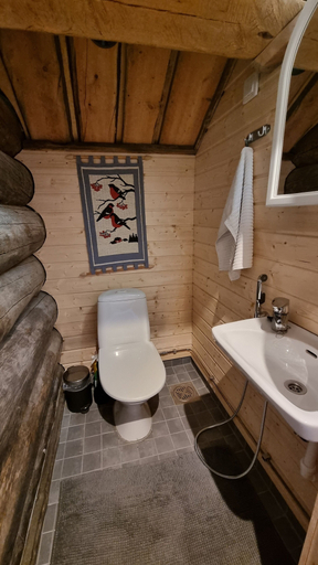 Bathroom, Villa Kaunisvirta, Kymenlaakso
