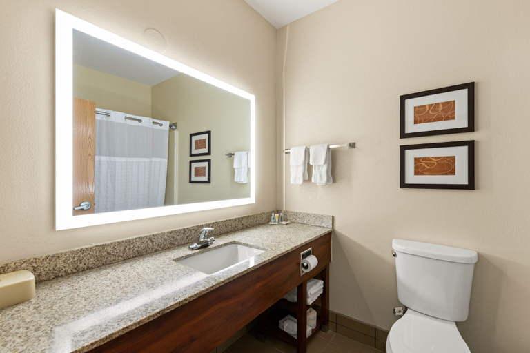 Bathroom 4, Comfort Suites Kansas City-Liberty, Kansas City