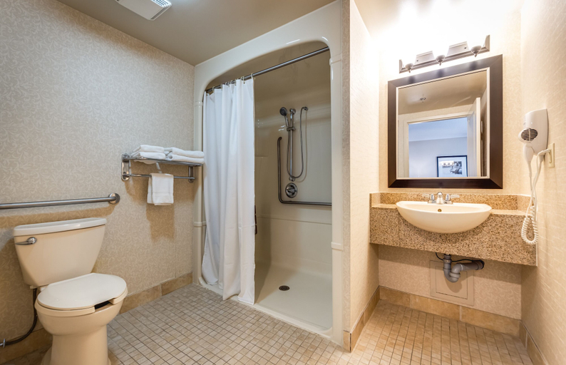Bathroom 4, Monte Carlo Inn & Suites Downtown Markham, York