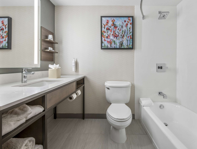 Bathroom 4, Hilton Garden Inn Dallas/Allen, Collin