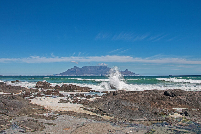 Others 4, Eden on the Bay 240, City of Cape Town
