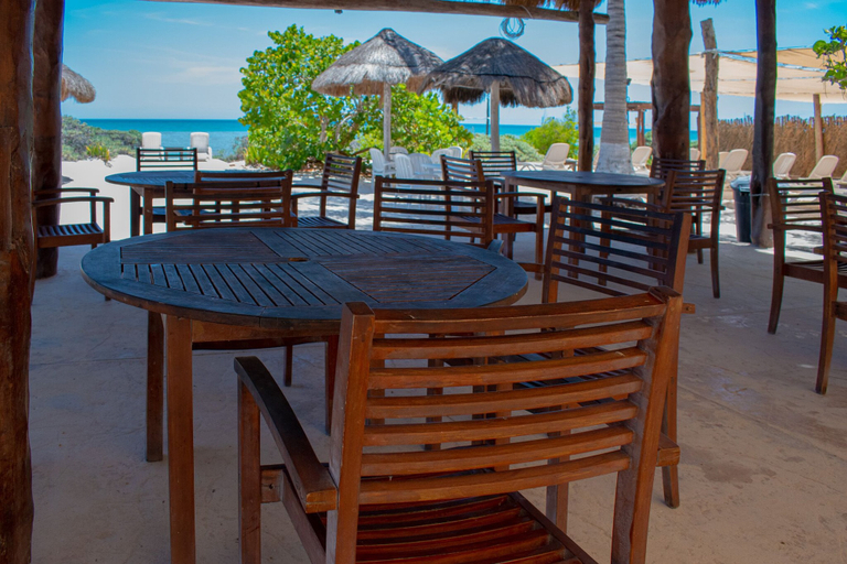 Food & Drinks 5, Tecnohotel San Benito Beach, Dzemul