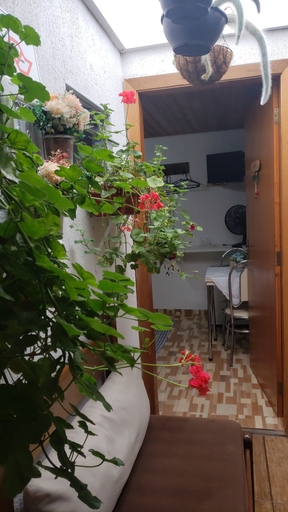 Others 5, Suites Bela João e Maria, Campo Limpo Paulista