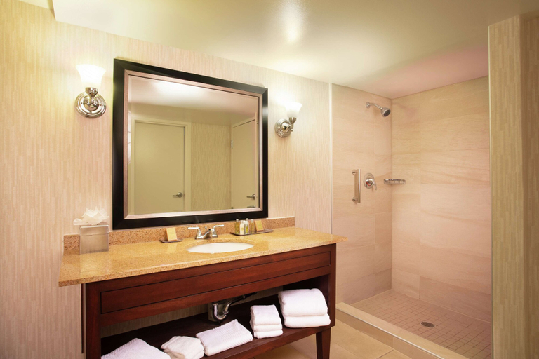Bathroom 5, Doubletree by Hilton Columbia, SC, Lexington
