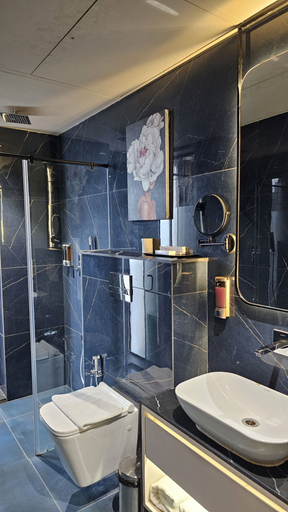 Bathroom 4, Apricot Motera, Gandhinagar