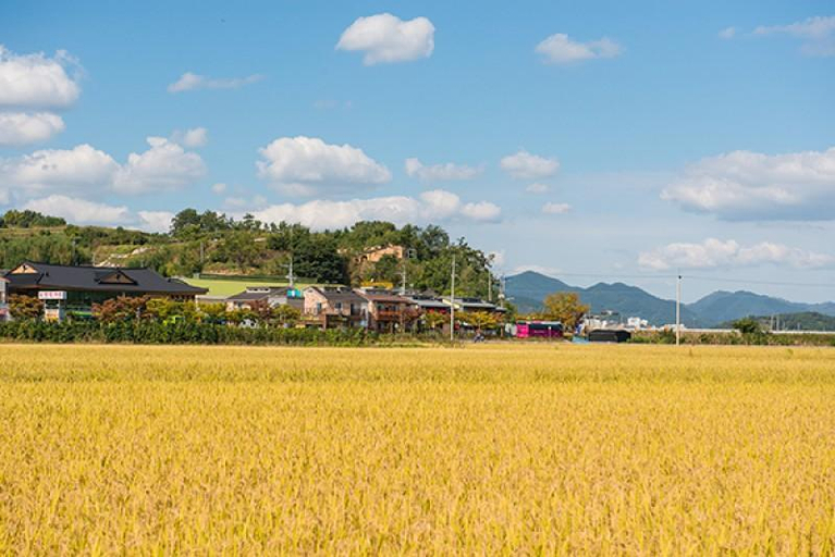 Others 3, Suncheonman Travel Pension, Suncheon