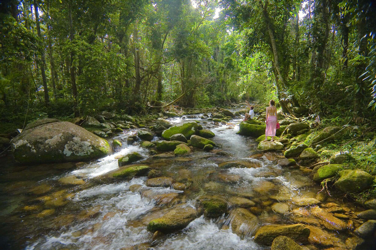 Misty Mountains Rainforest Retreat, Cairns