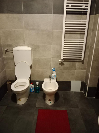 Bathroom 3, Venice City Guesthouse, Venezia