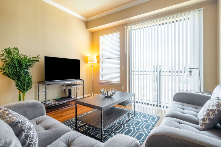 Others 5, Executive Suite With Pool & Gym, Dallas
