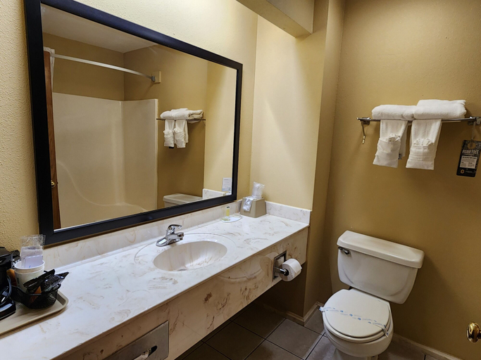 Bathroom 4, Super 8 by Wyndham Pine Bluff, Jefferson