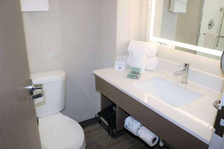 Bathroom 5, Best Western Aku Tiki Inn, Volusia
