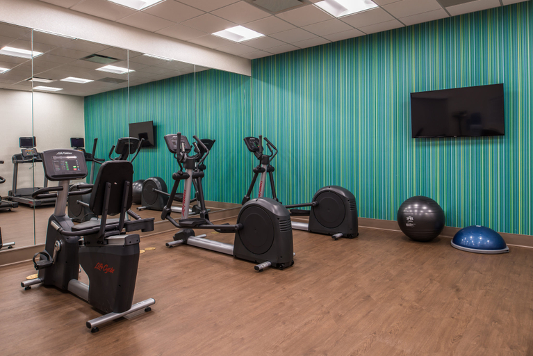 Others 4, Holiday Inn Express & Suites FARMVILLE, Prince Edward