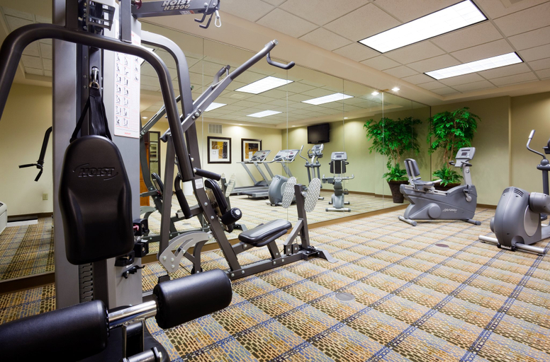 Others 2, Holiday Inn Express & Suites MADISON-VERONA, Dane
