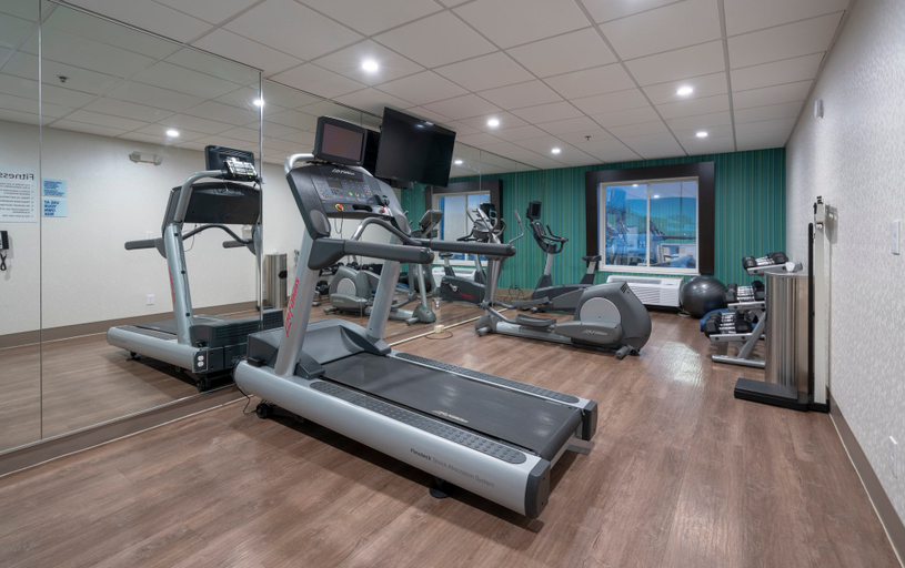 Others 3, Holiday Inn Express & Suites COON RAPIDS-BLAINE AREA, Anoka